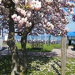 Bodenseehotel Weisses Roessli 3* ستاد