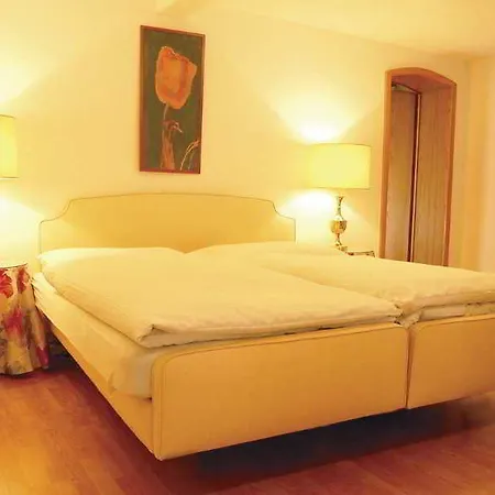 Hotell Bodenseehotel Weisses Roessli 3*
