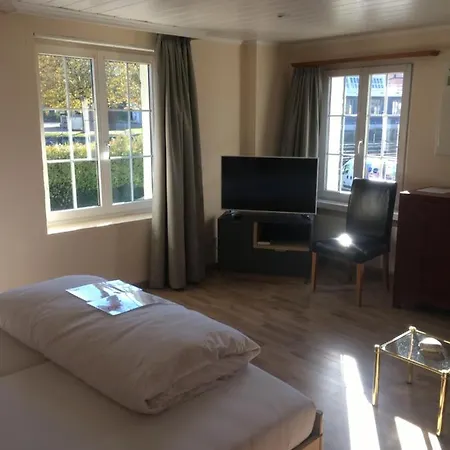 Bodenseehotel Weisses Roessli 3* Staad
