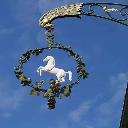 Bodenseehotel Weisses Roessli Hotel 3*