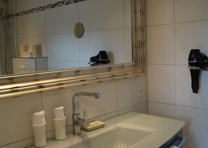 Otel Bodenseehotel Weisses Roessli 3*