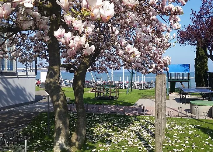 Bodenseehotel Weisses Roessli 3* Staad