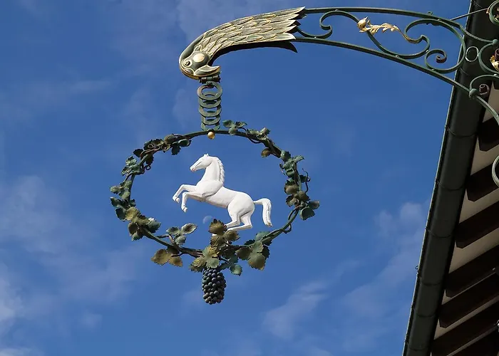 Bodenseehotel Weisses Roessli Hotel 3*