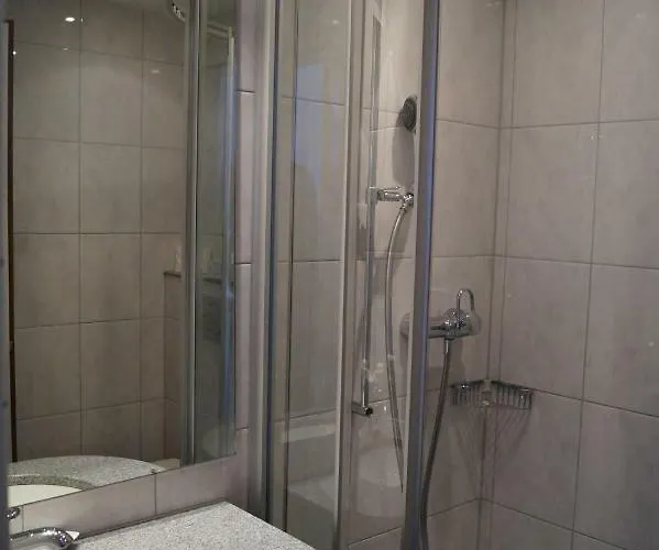 Bodenseehotel Weisses Roessli Otel 3*