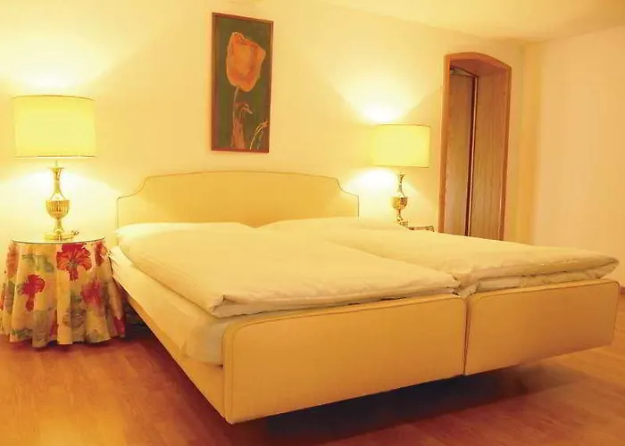 Hotel Bodenseehotel Weisses Roessli 3*